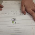 תמונה5