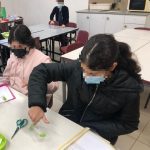 תמונה8